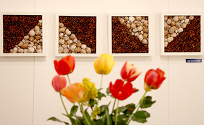 Vernissage der Ausstellung von Burgi Fiona Brandstetter im Linzer Bildungs- und Begegnungszentrum Haus der Frau 